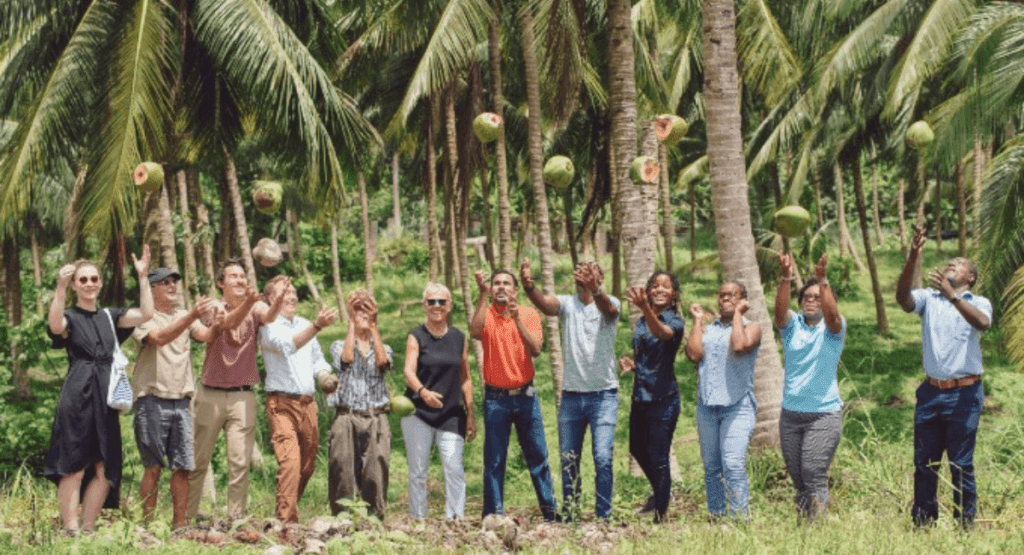 Coconut farming and WIRD connection