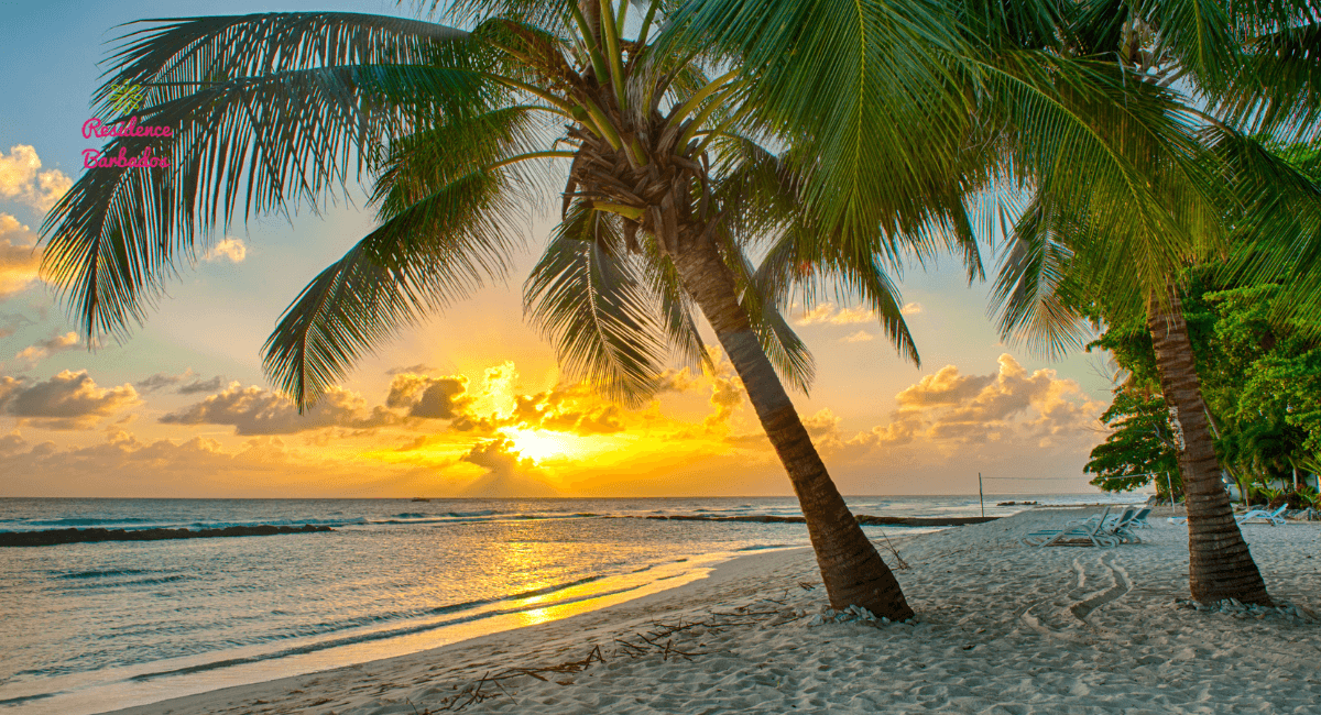 Move from the UK to Barbados and enjoy a beaches at sunset