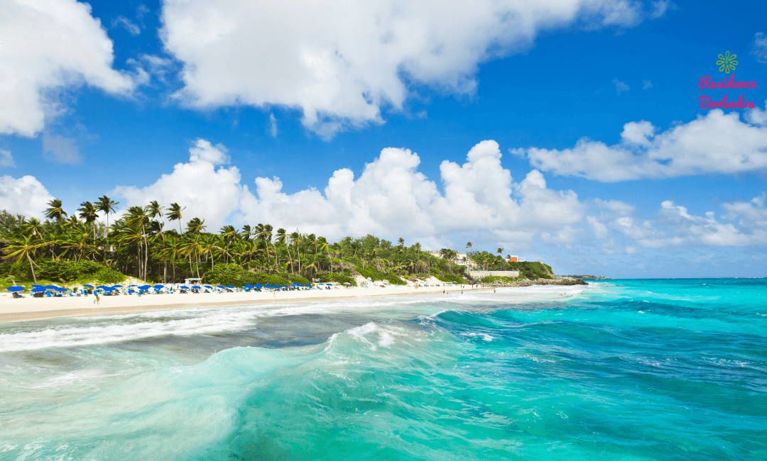 Move from the UK to Barbados and live in places like Crane Beach
