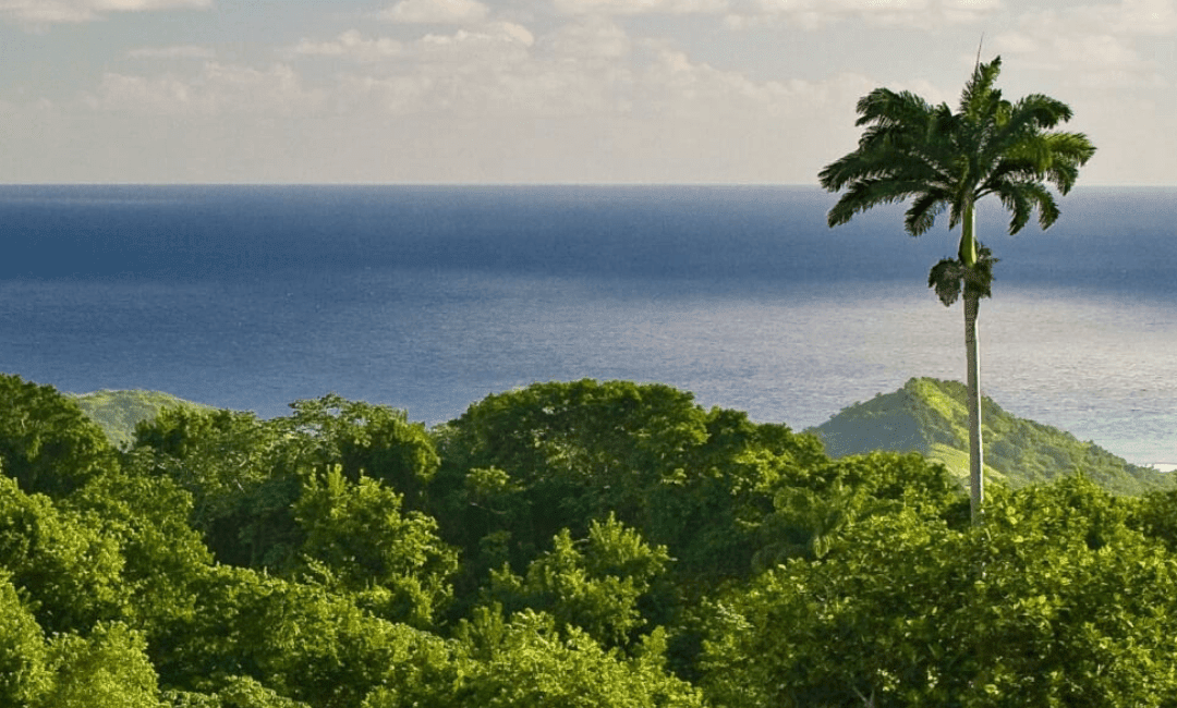 Blissful Barbados Living At Apes Hill