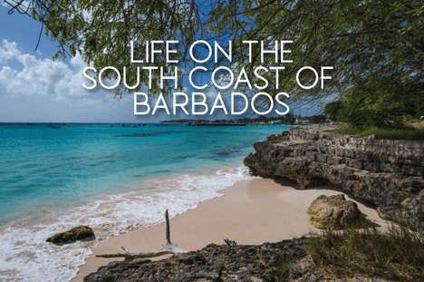 A Look At Life On The South Coast Of Barbados