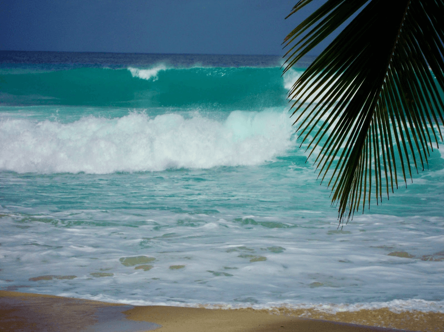 The Soup Bowl East Coast of Barbados