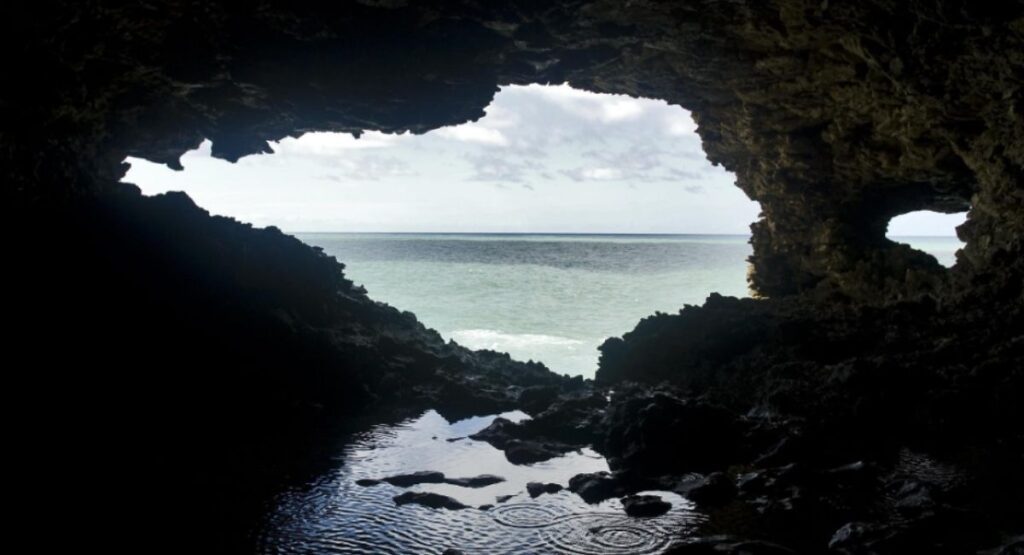 Animal Flower Cave North Coast of Barbados