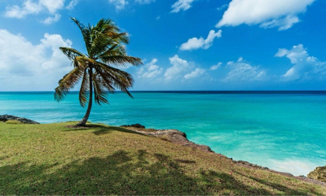 North Coast of Barbados