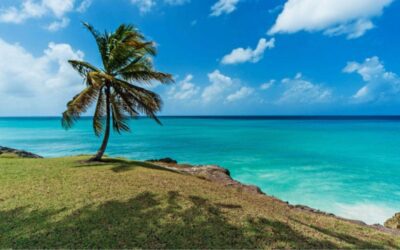 A Look at Life on the North Coast of Barbados