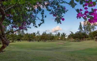 The Pros and Cons of Owning Golf Course Property in Barbados